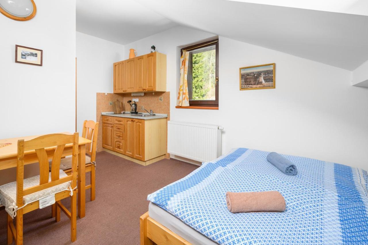 Penzion Petra, Harrachov 아파트 호텔 외부 사진